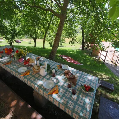 Holiday home Farmhouse In Apecchio With Swimming Pool Terrace Garden *