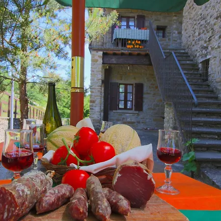 Сasa de vacaciones In With Swimming Pool, Terrace, Garden Apecchio