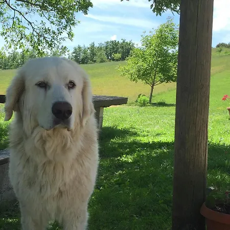 In With Swimming Pool, Terrace, Garden Vakantiehuis *