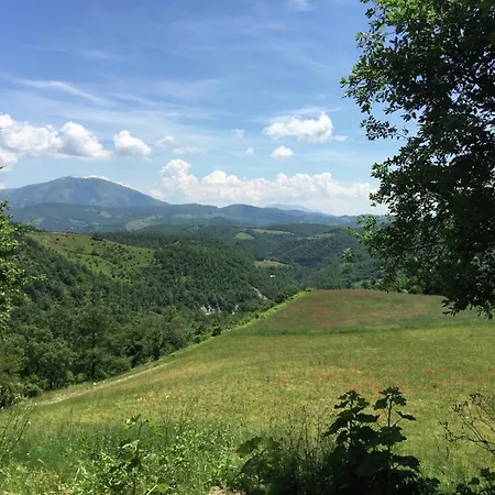 Vakantiehuis In With Swimming Pool, Terrace, Garden *