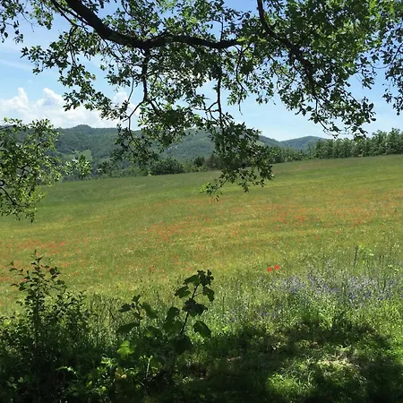 In With Swimming Pool, Terrace, Garden