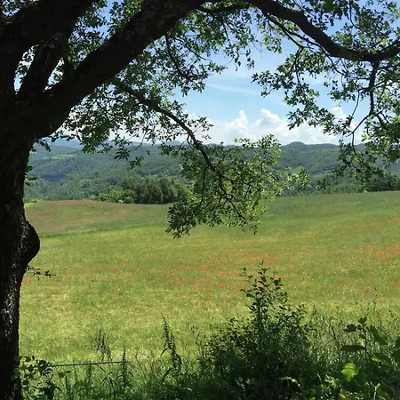 Vakantiehuis In With Swimming Pool, Terrace, Garden *